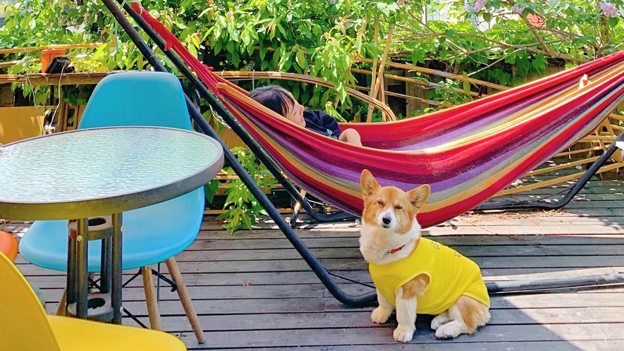 ・天気のよい日にはウッドデッキにハンモッグが吊されます。