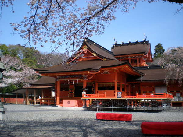 【当館から車で20分】歴史や文化が感じられる富士山本宮浅間大社