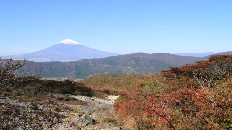 大桶谷からの富士山の眺め