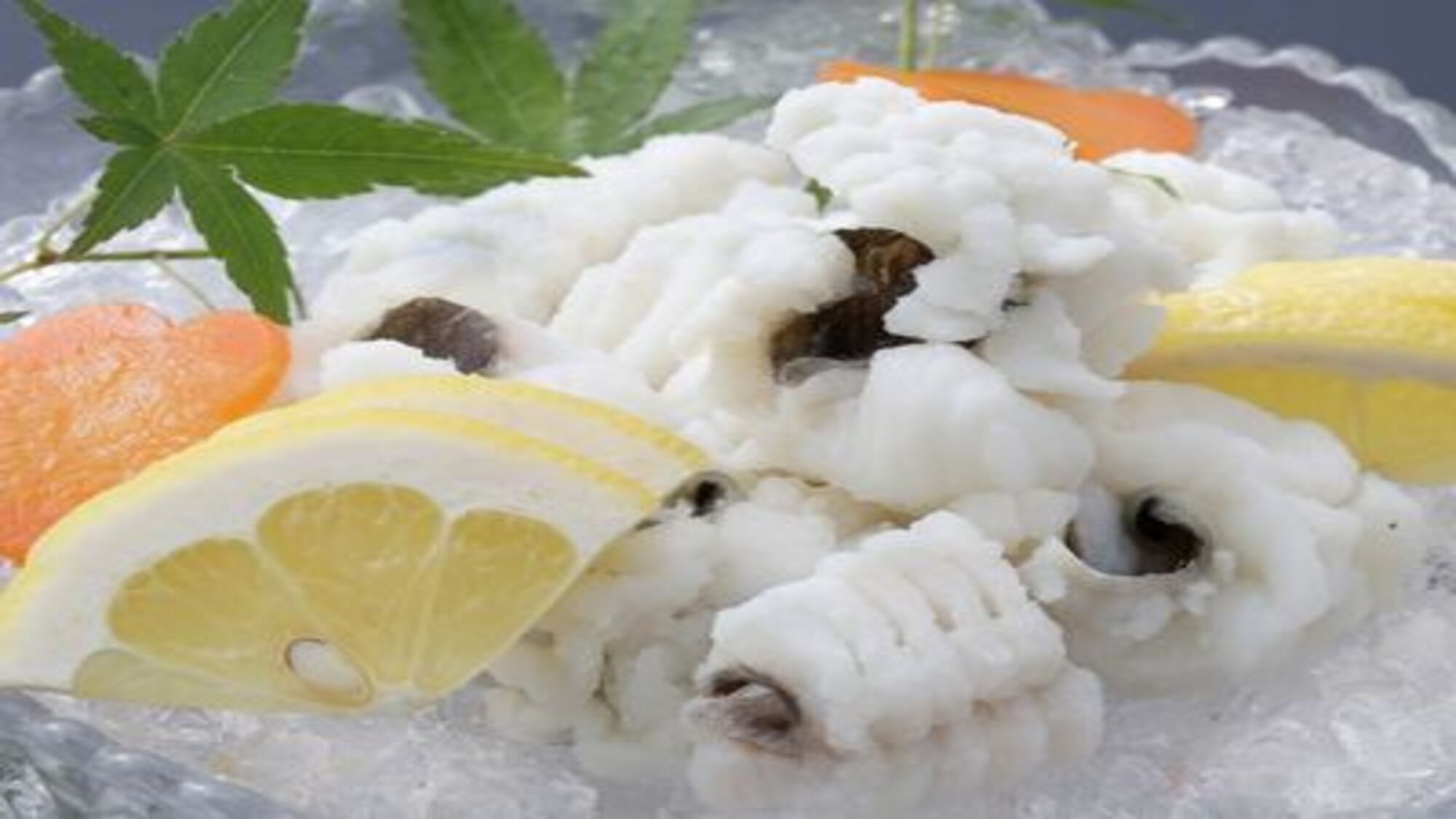 【夏の鮮魚】マダコ・黄金の鱧（ハモ）・車エビ！季節の鮮魚を味わう＜全室オーシャンビュー＆夕朝食個室＞