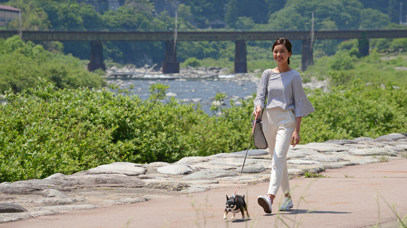 【ペット宿特集】（愛犬と宿泊）一泊素泊まり！シンプルステイで温泉満喫！ビジネス・帰省・温泉街観光に！