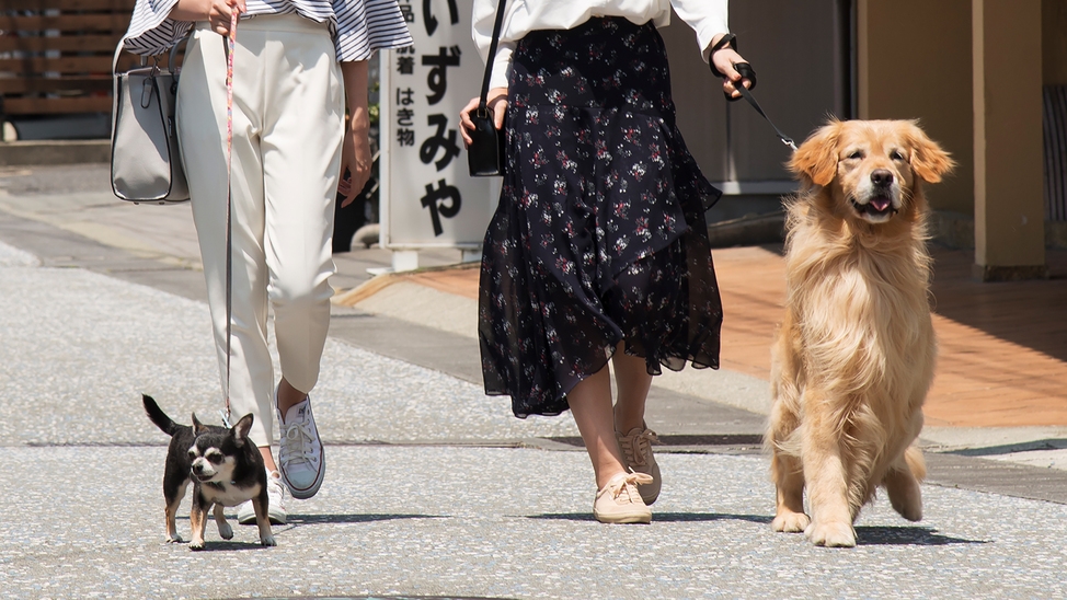 【直前割り】郷土料理の朝食付き！愛犬と下呂温泉旅行♪温泉街目の前の好立地！！
