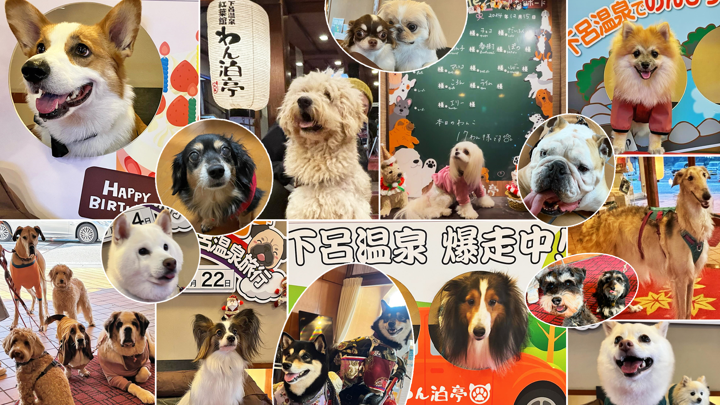 ◆施設　記念写真撮影スポット