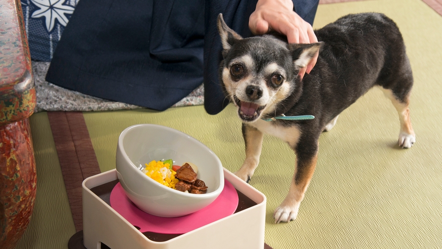 ◆食事　わんこ用ごはん