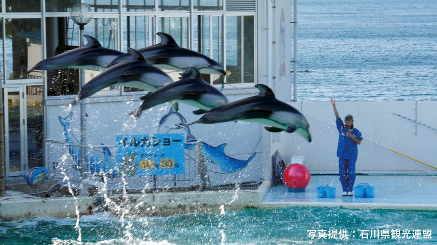 のとじま水族館