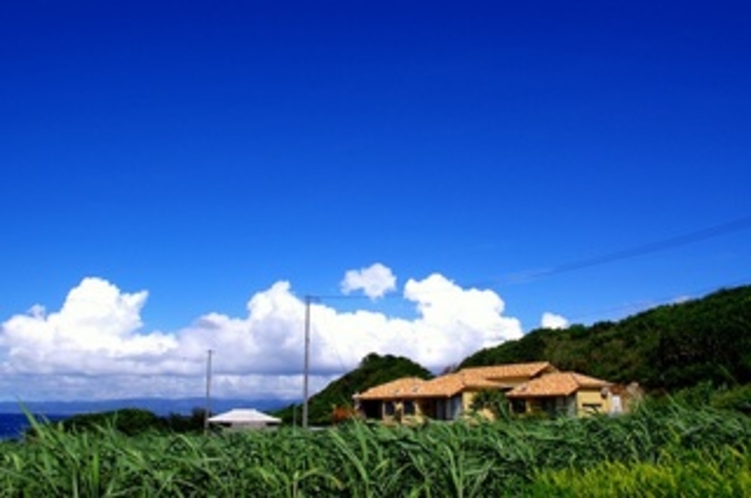 沖縄の小さな島にひっそりと佇む。