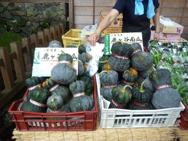 写真5