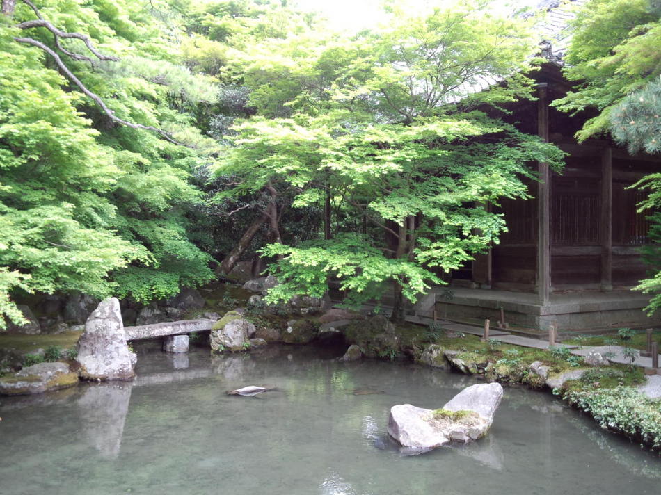 写真2