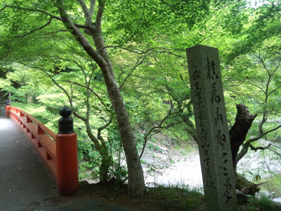 写真5
