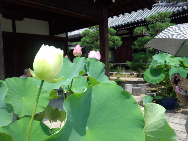 写真4