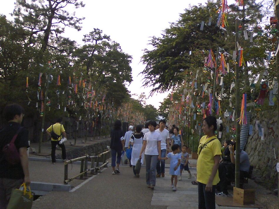 写真3