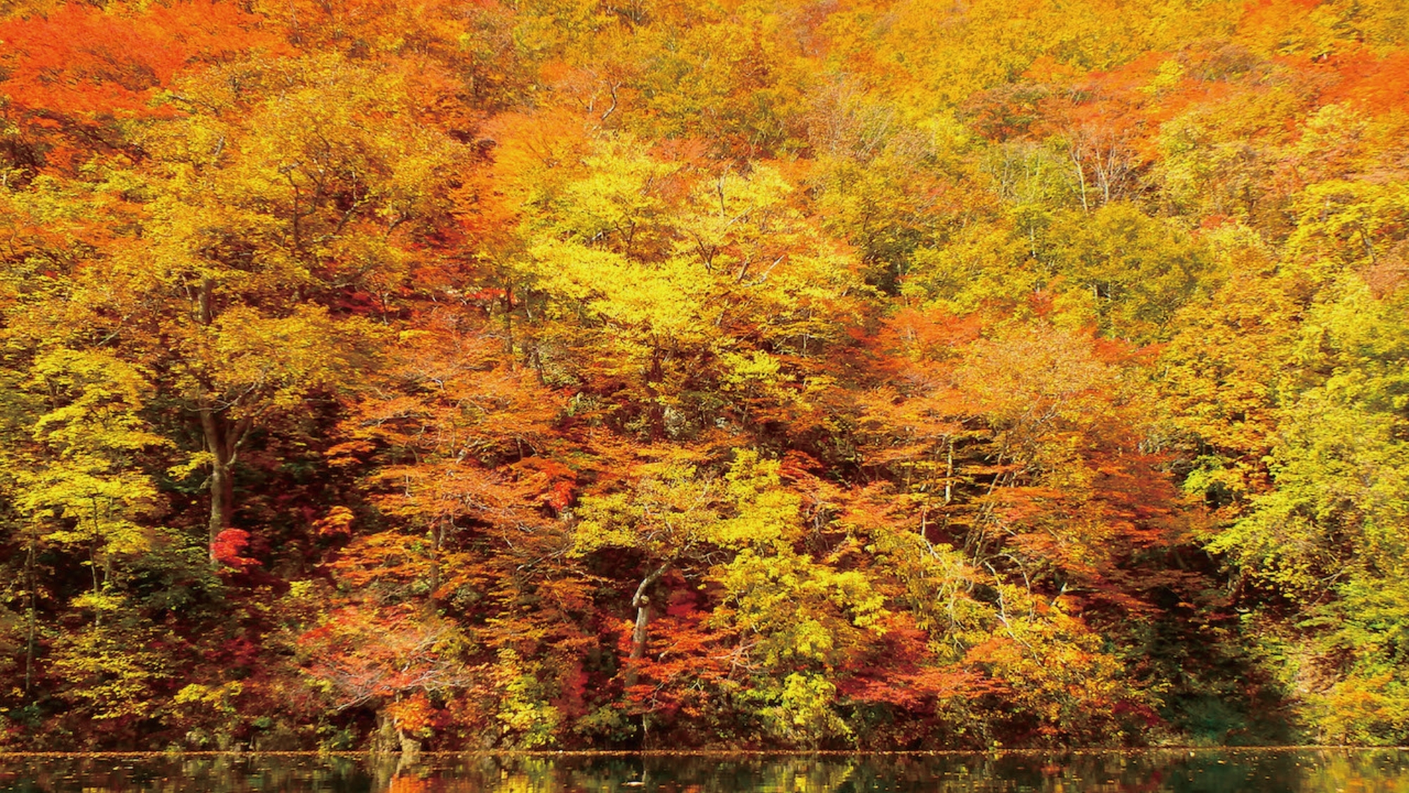 【みなかみ町内の紅葉】