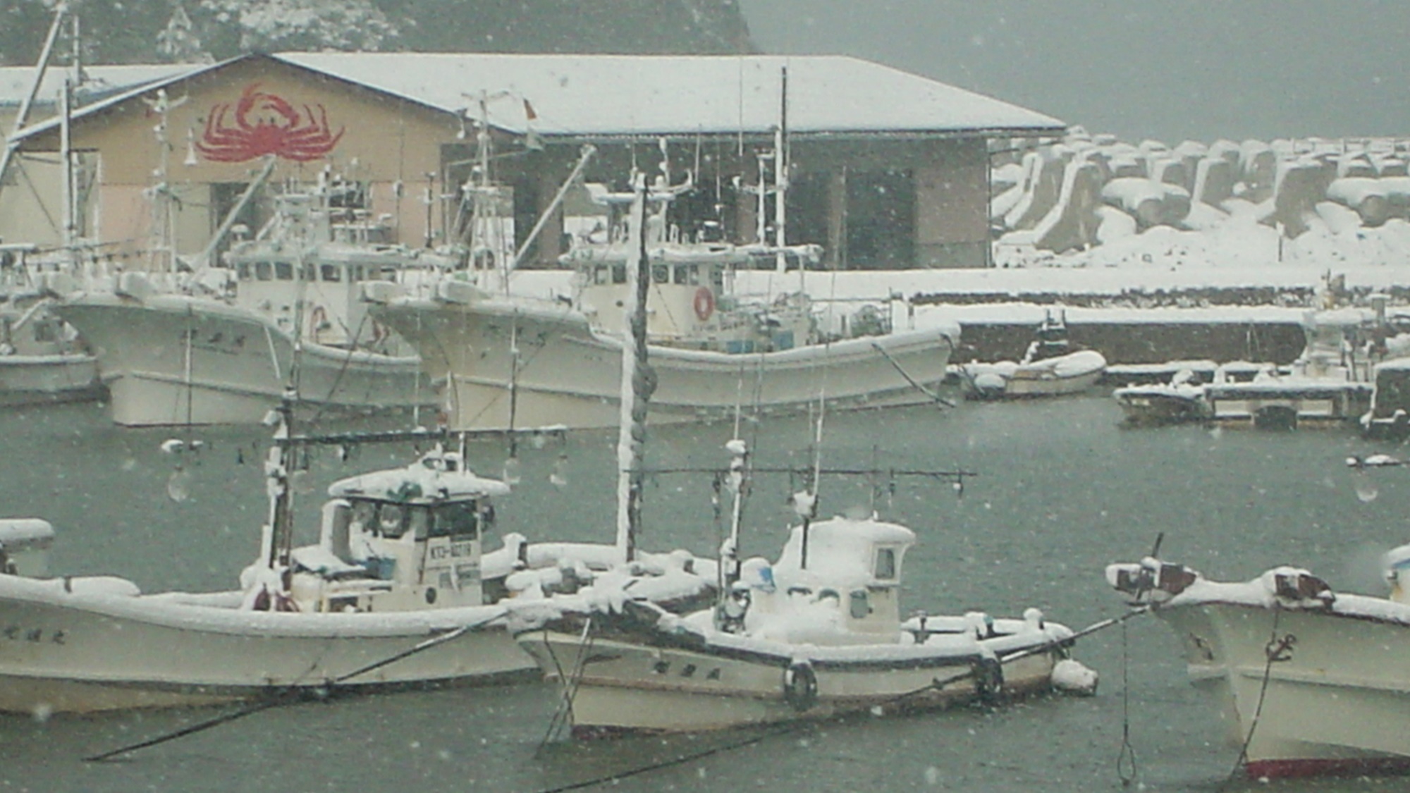 *浅茂川漁港（冬）