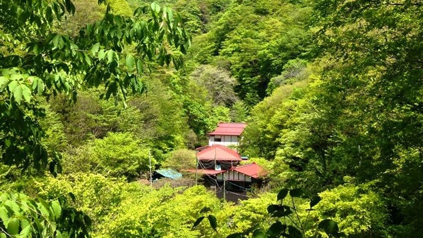 11/1〜【2食付】秘湯・霧積温泉の一軒宿で、非日常のリトリート。お部屋食で寛ぐ、スタンダードプラン