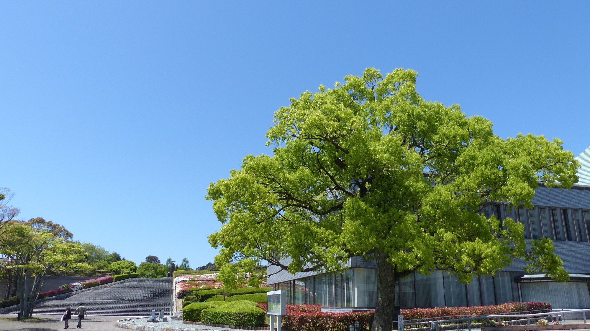 宗像ユリックス 02