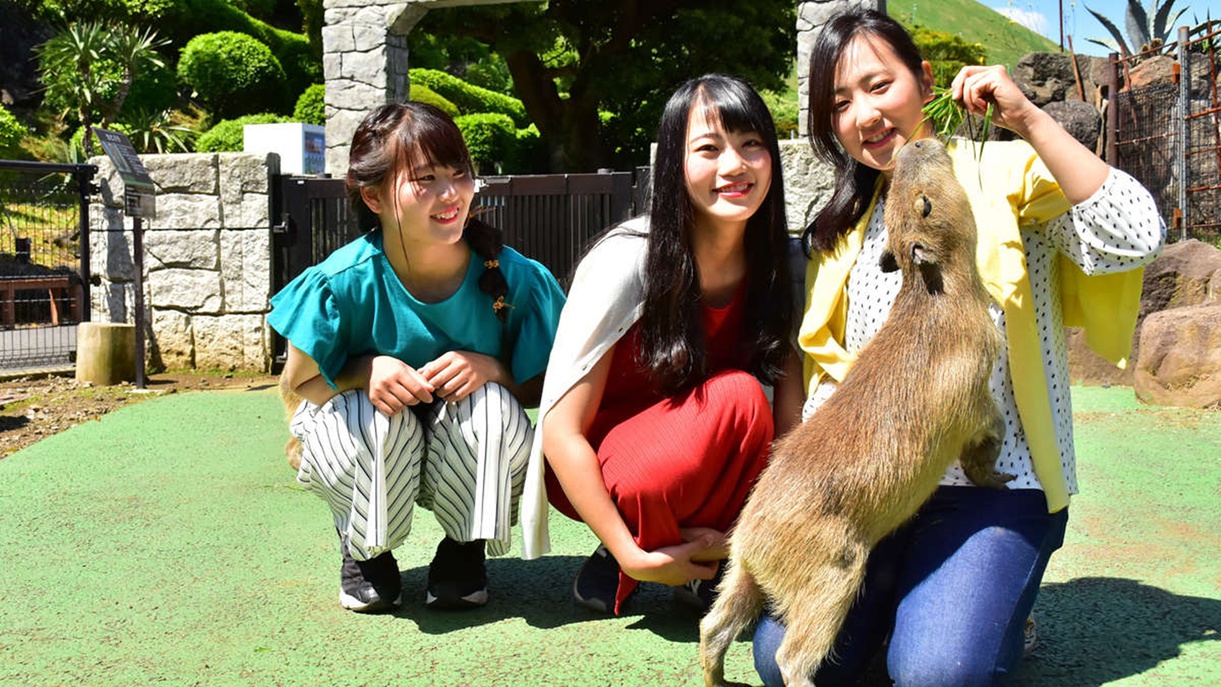 アニマルキャンプBBQ♪[伊豆シャボテン動物公園×2食付き]　動物たちと触れ合おう♪