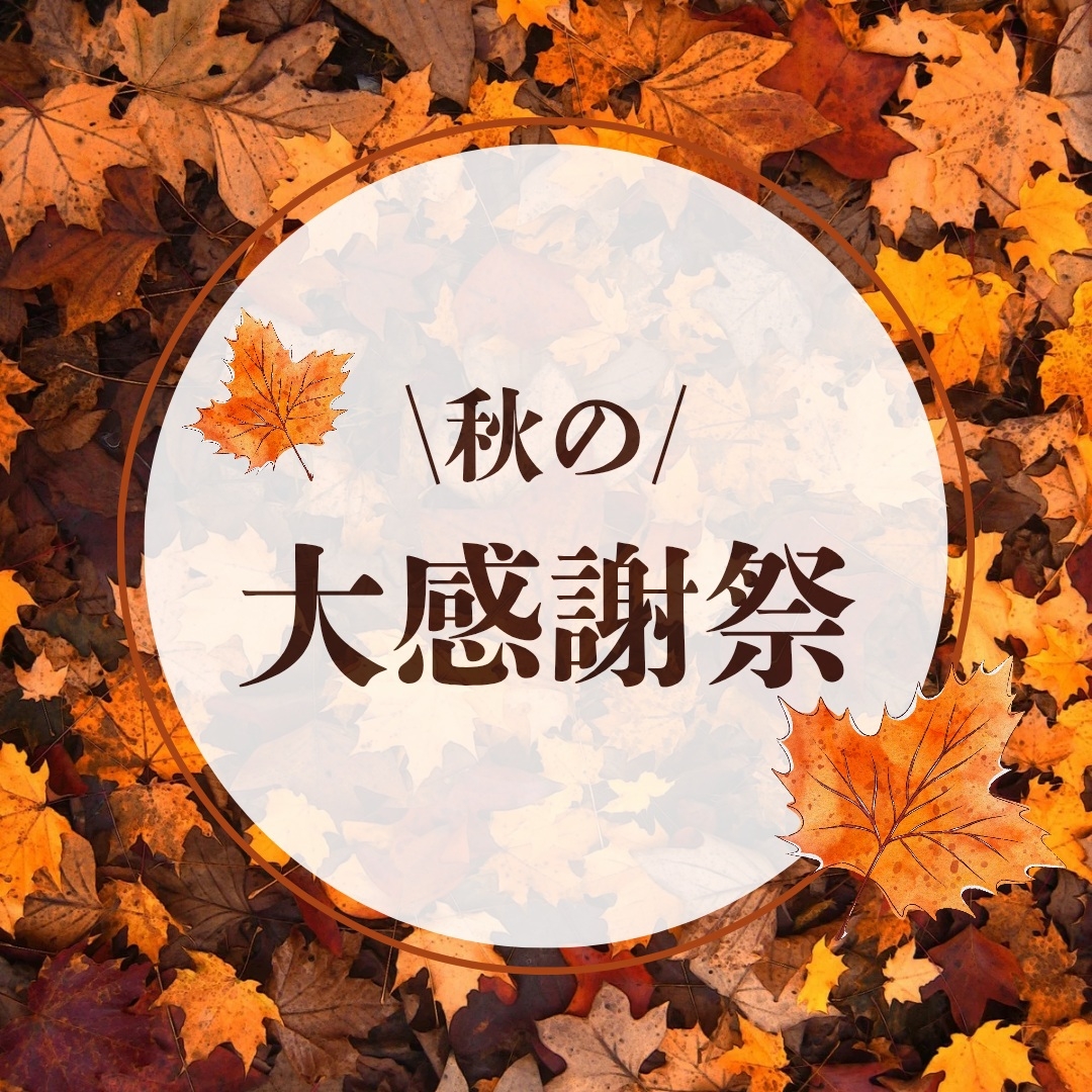 宿泊の秋ですね〜秋の大感謝祭【9・10・11月限定】素泊まり