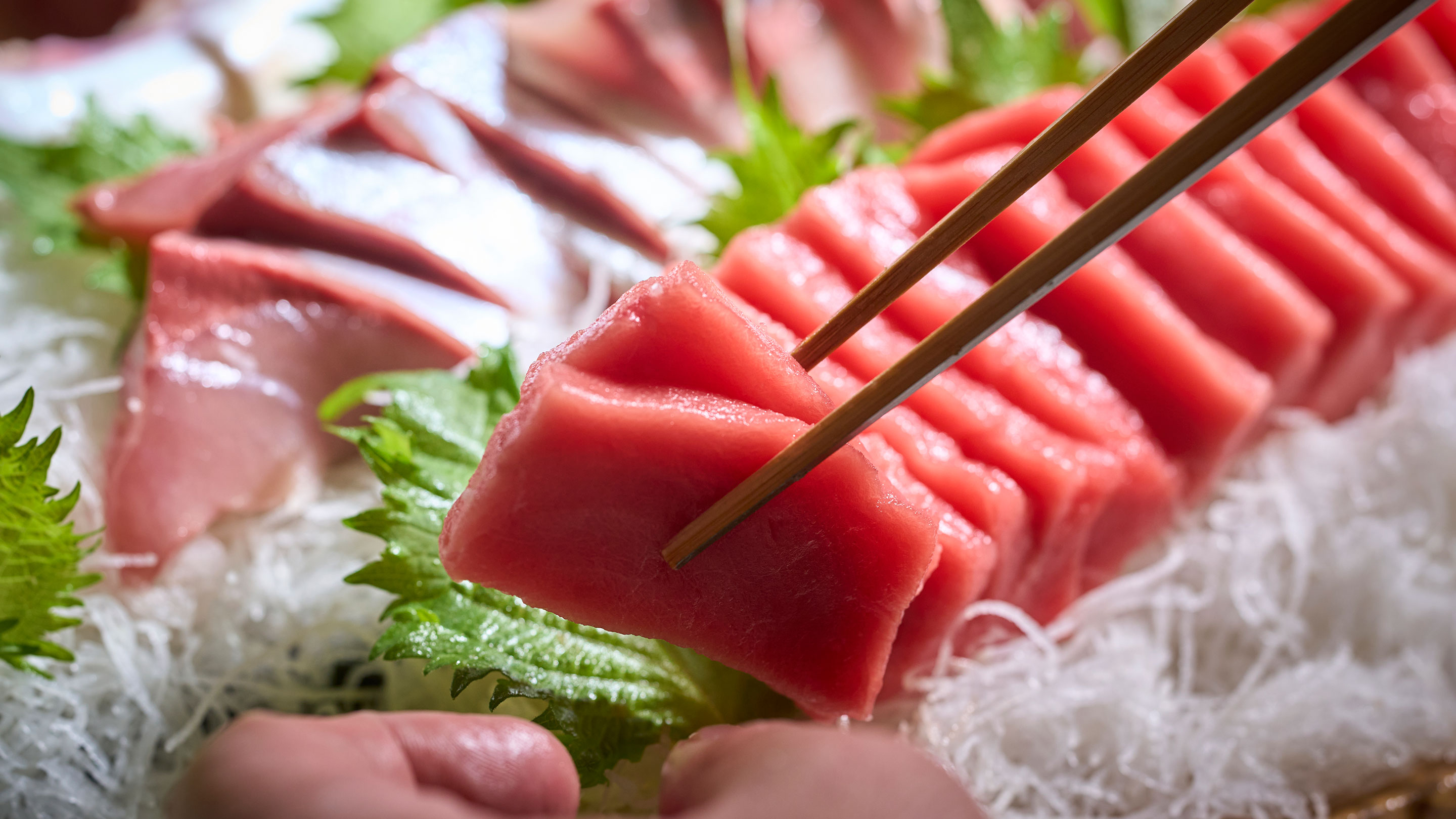 市場直送 お造り（4/8～）　※イメージ