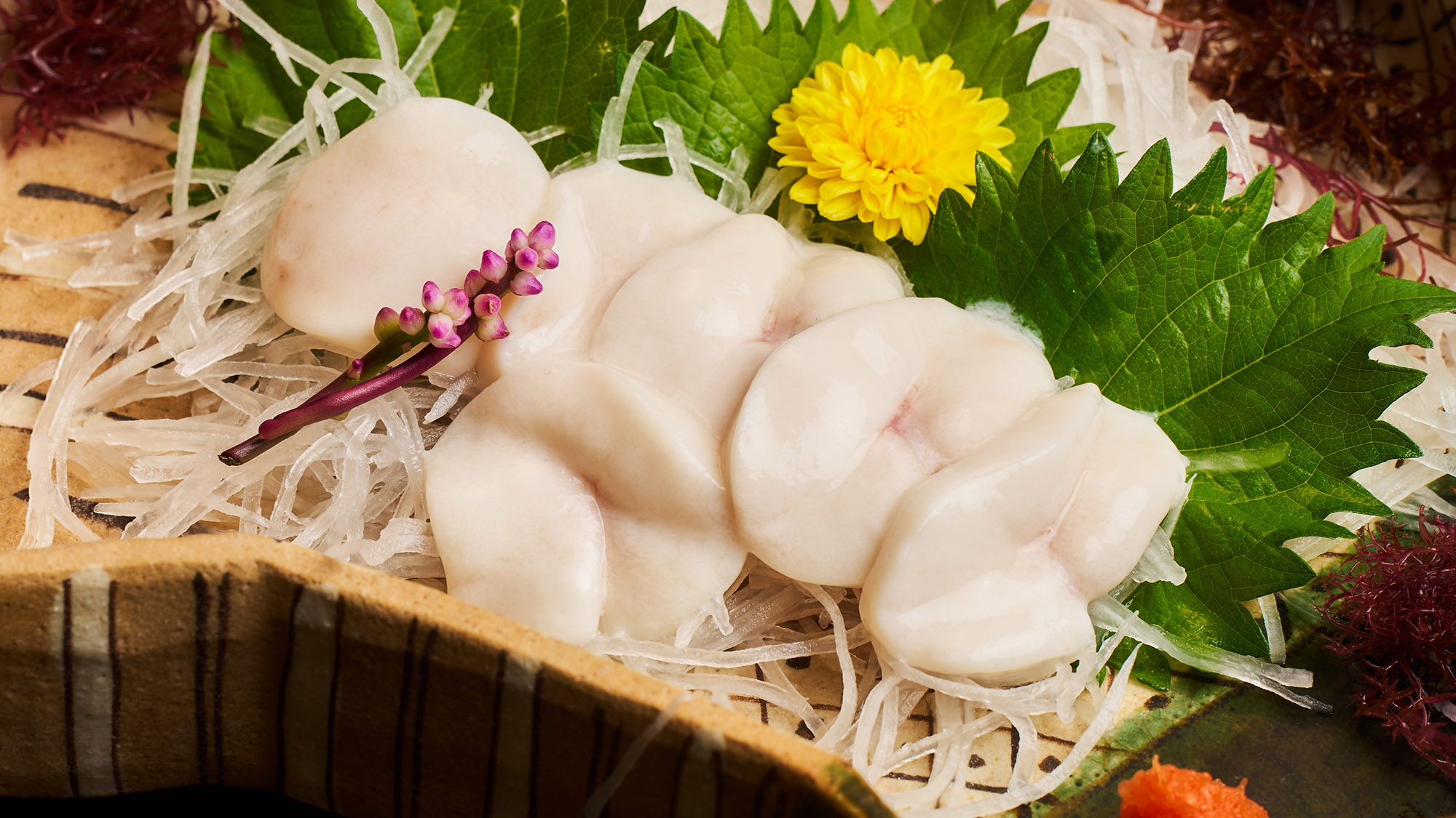 ・【夕食一例／白子の刺身】新鮮だからこそ楽しめる刺身でのご提供もございます。希少な冬の味覚です
