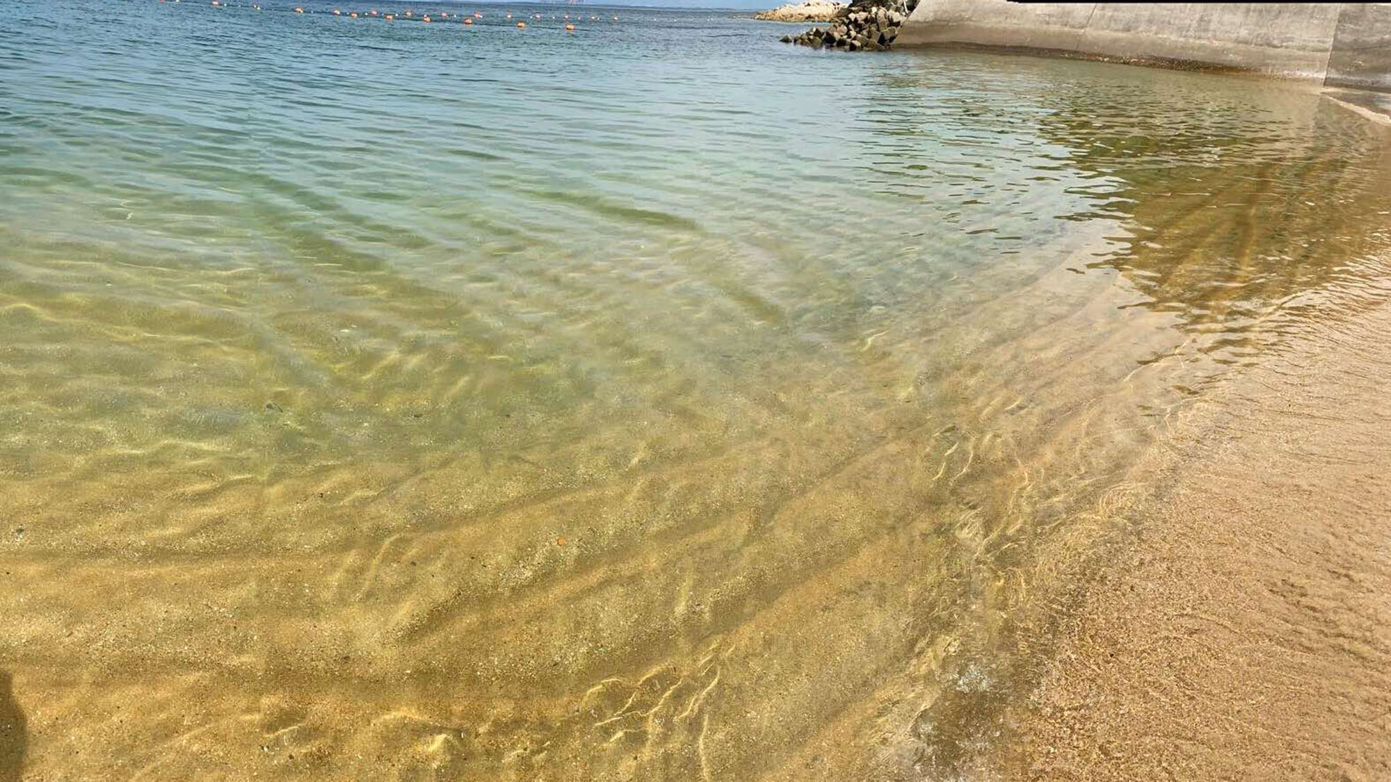 ・【海水浴場】篠島サンサンビーチはすぐそこ。水着を着たままビーチへ直行！