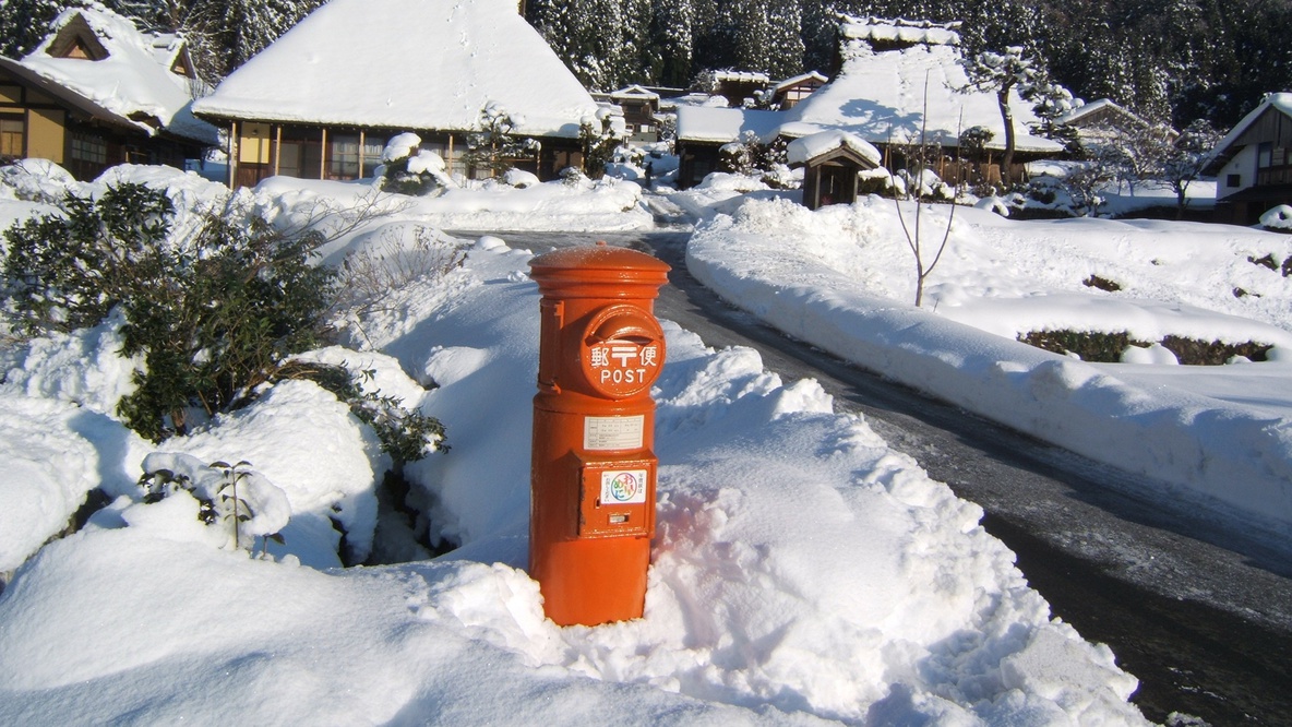 【2食付：ぼたん鍋】秋冬期間限定♪国内産の猪肉を栄養満点の自家製味噌で召し上がれ！！