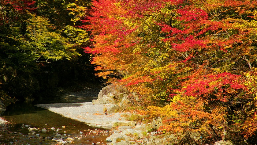 全室〜Riverview〜絶景の渓谷・清流沿い〜【昔懐かしい土壁造り】“絶対にはずせない旅”を確約！