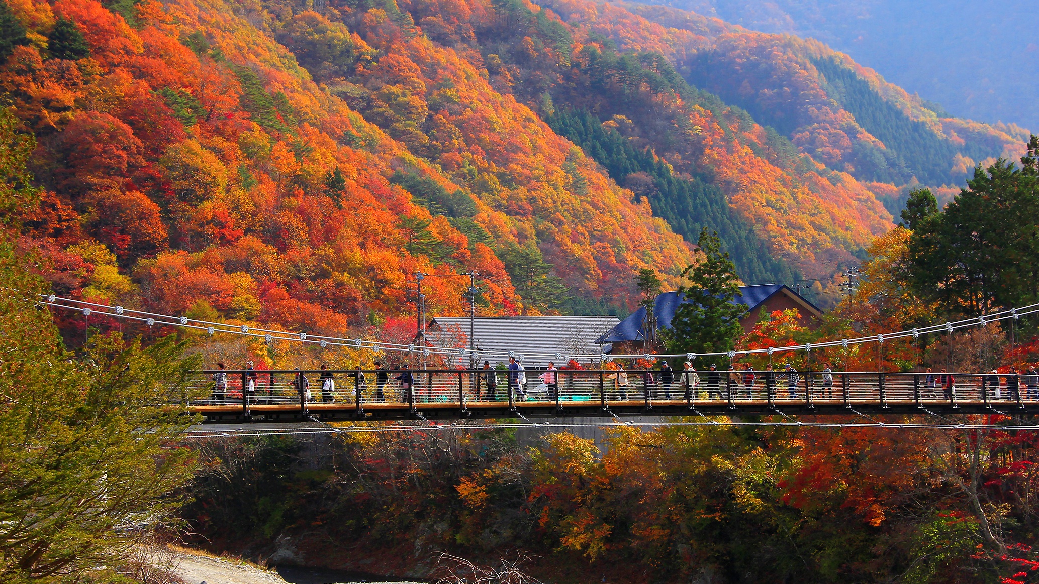 2011年に完成した観光スポット“四季折々の美しい”迫力満点の大吊り橋!水の郷の新しいシンボルです。