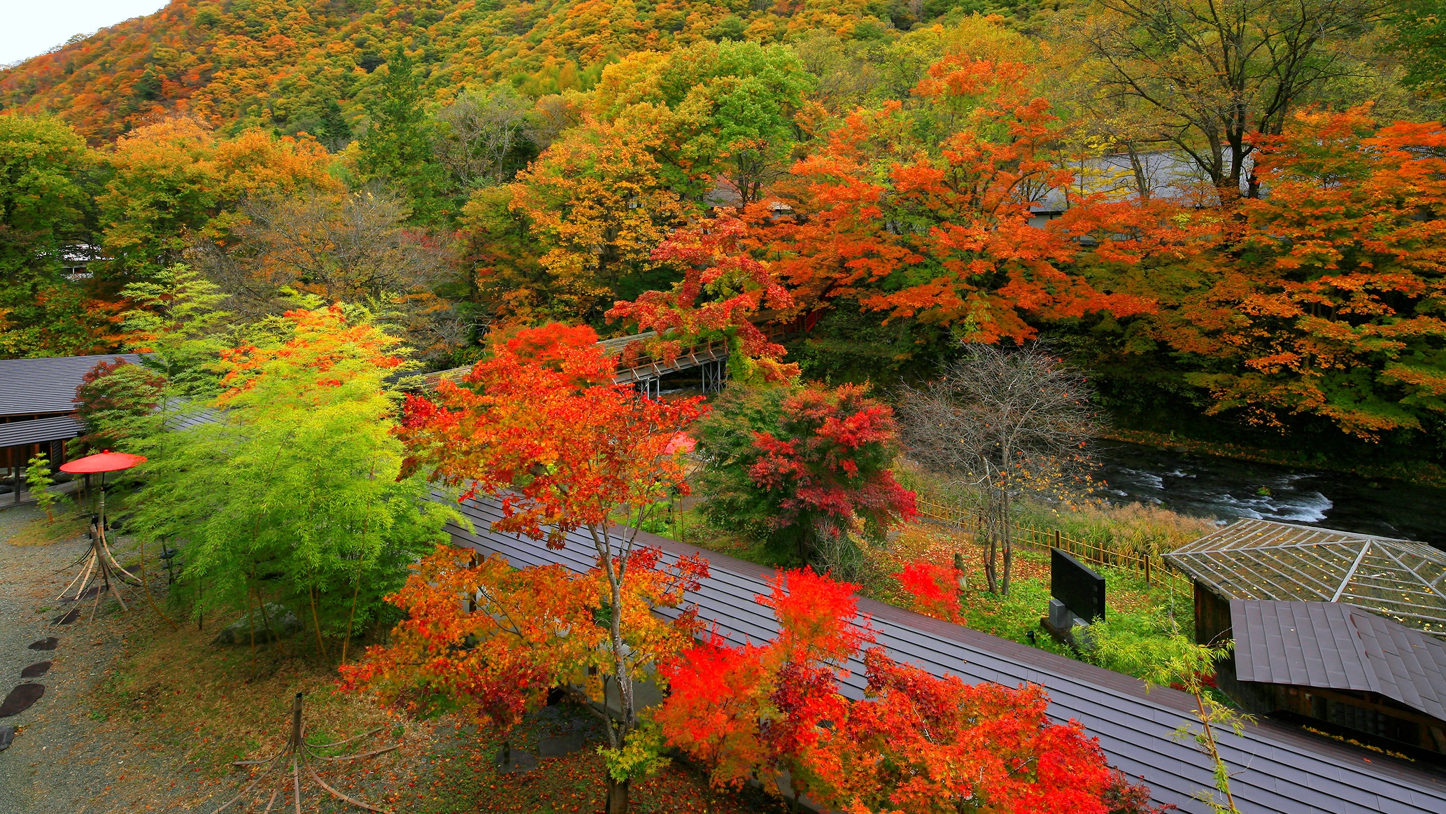 【2018年】紅葉が美しい“日本庭園”33選！美しすぎる～大正初期の原型を留める貴重な眺望です。。。