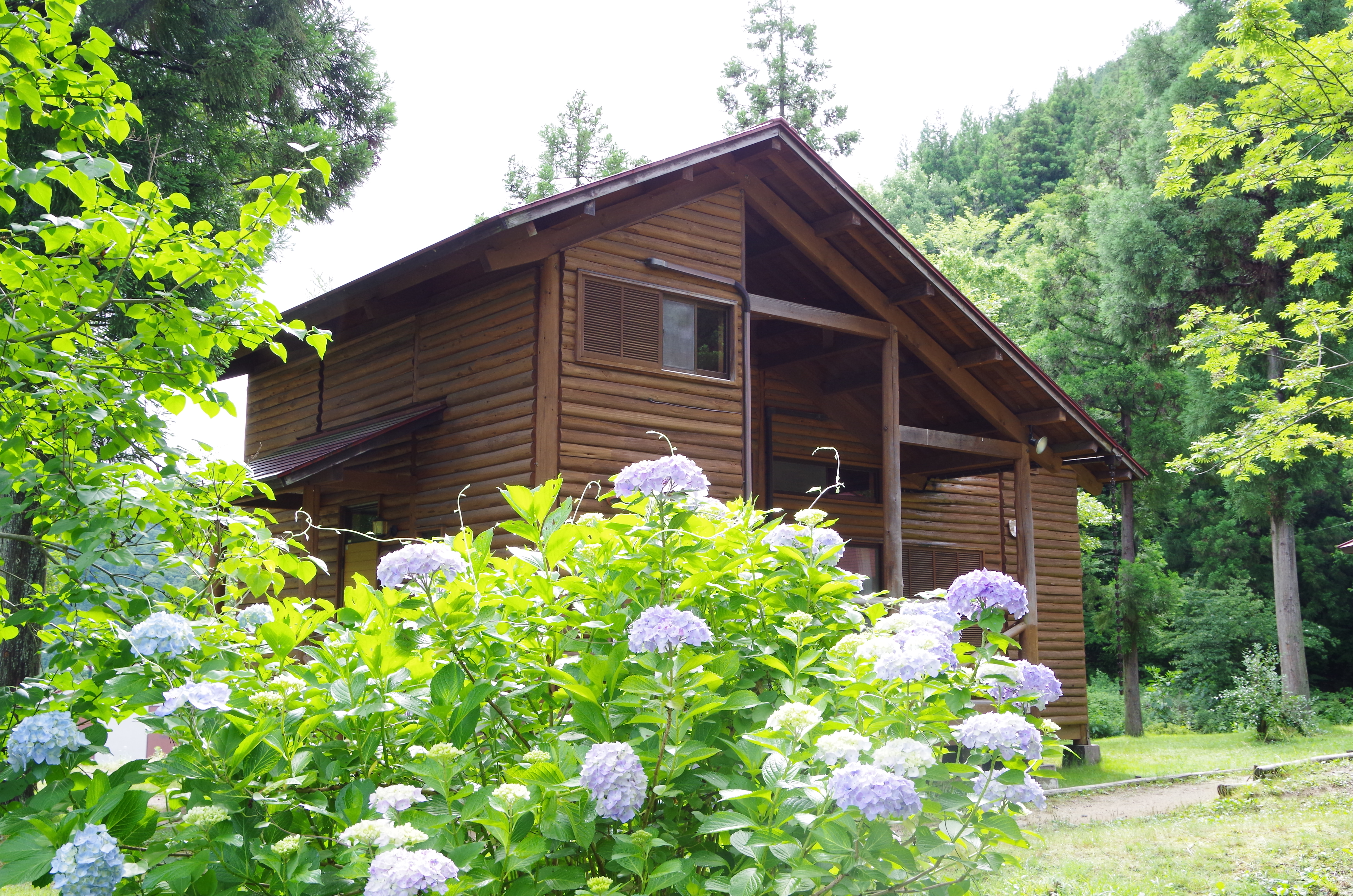 コテージ春～夏