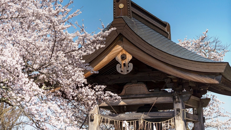 大悲殿の鐘　桜