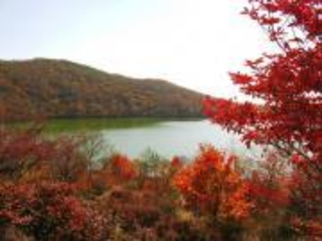 赤城山小沼湖畔の紅葉