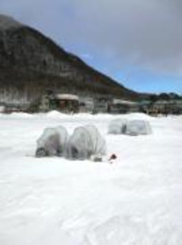 赤城大沼の氷上ワカサギ釣り