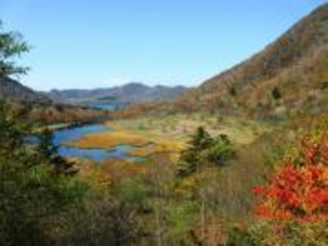 赤城山覚満淵の草紅葉