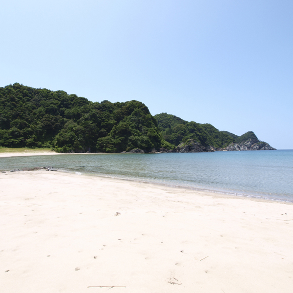 ≪海水浴にもおすすめ！≫　浜坂の料理自慢の宿で、『　天然の岩カキ付き☆リーズナブルコース！　』