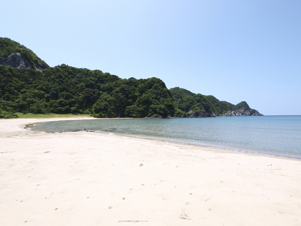 ≪夏の一押し≫　上品な甘さと、程良い食感をお楽しみください！　『　活け白いか姿造り付き☆コース！　』