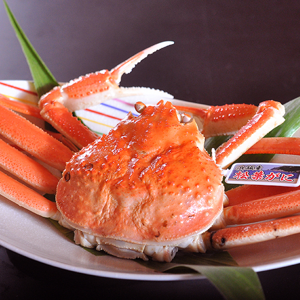 ≪海水浴にもおすすめ！≫　浜坂の料理自慢の宿で、『　天然の岩カキ付き☆リーズナブルコース！　』