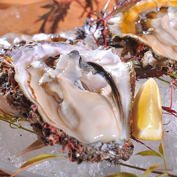 ≪海水浴にもおすすめ！≫　浜坂の料理自慢の宿で、『　天然の岩カキ付き☆リーズナブルコース！　』