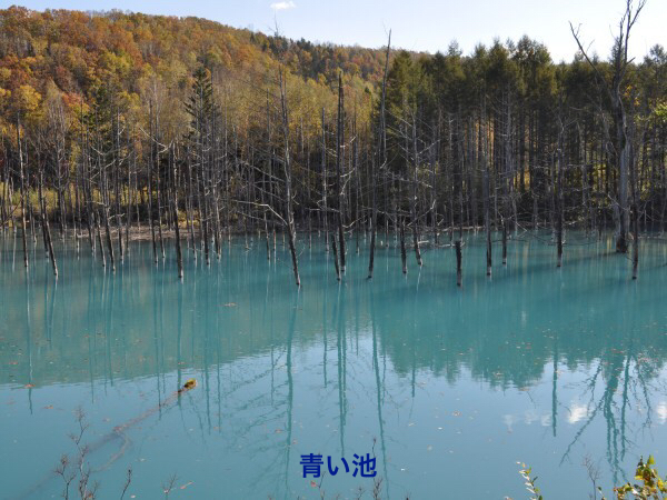 Blue pond with letters (substitute registration)