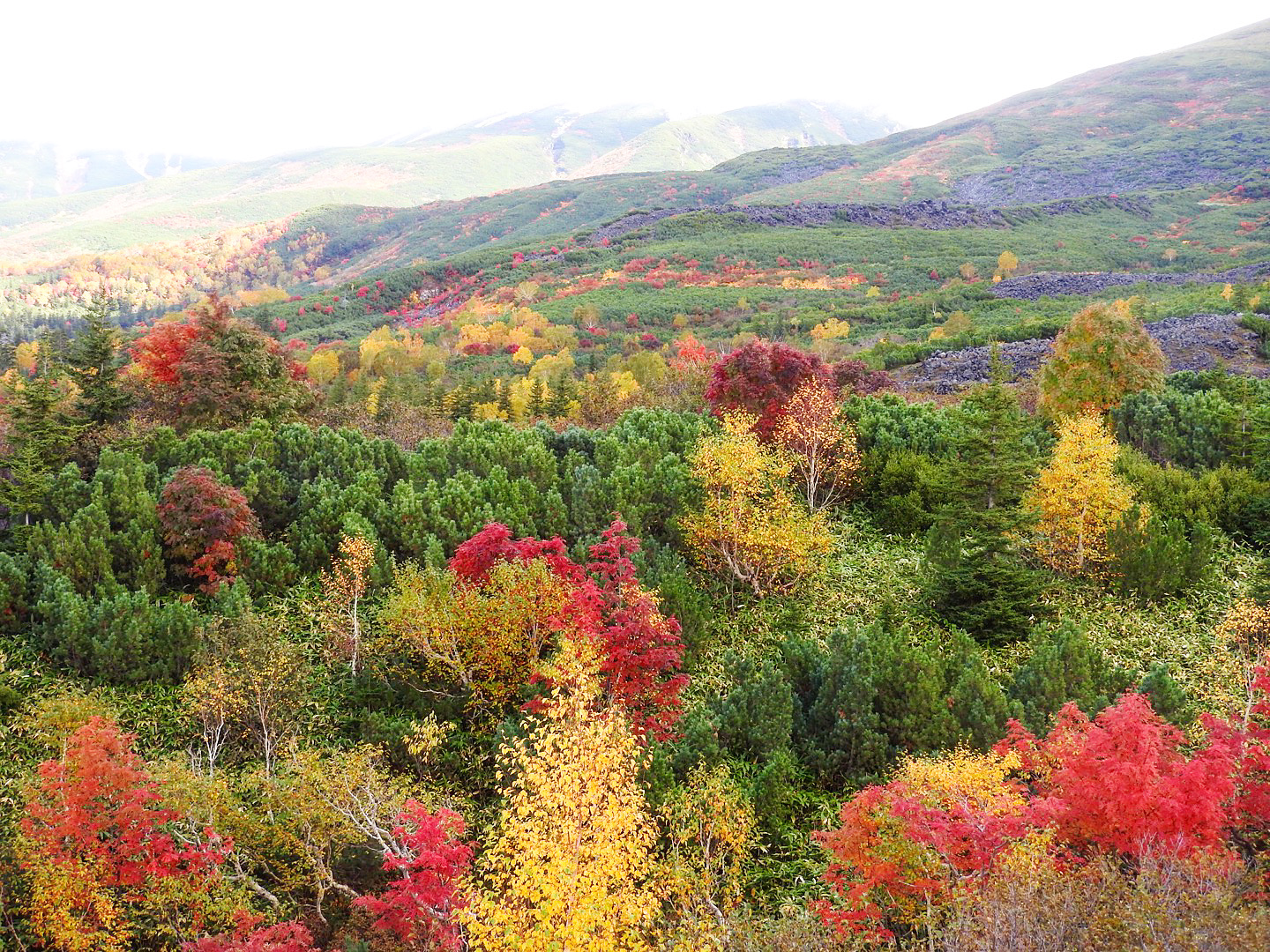 十勝岳連峰 紅葉シーズン
