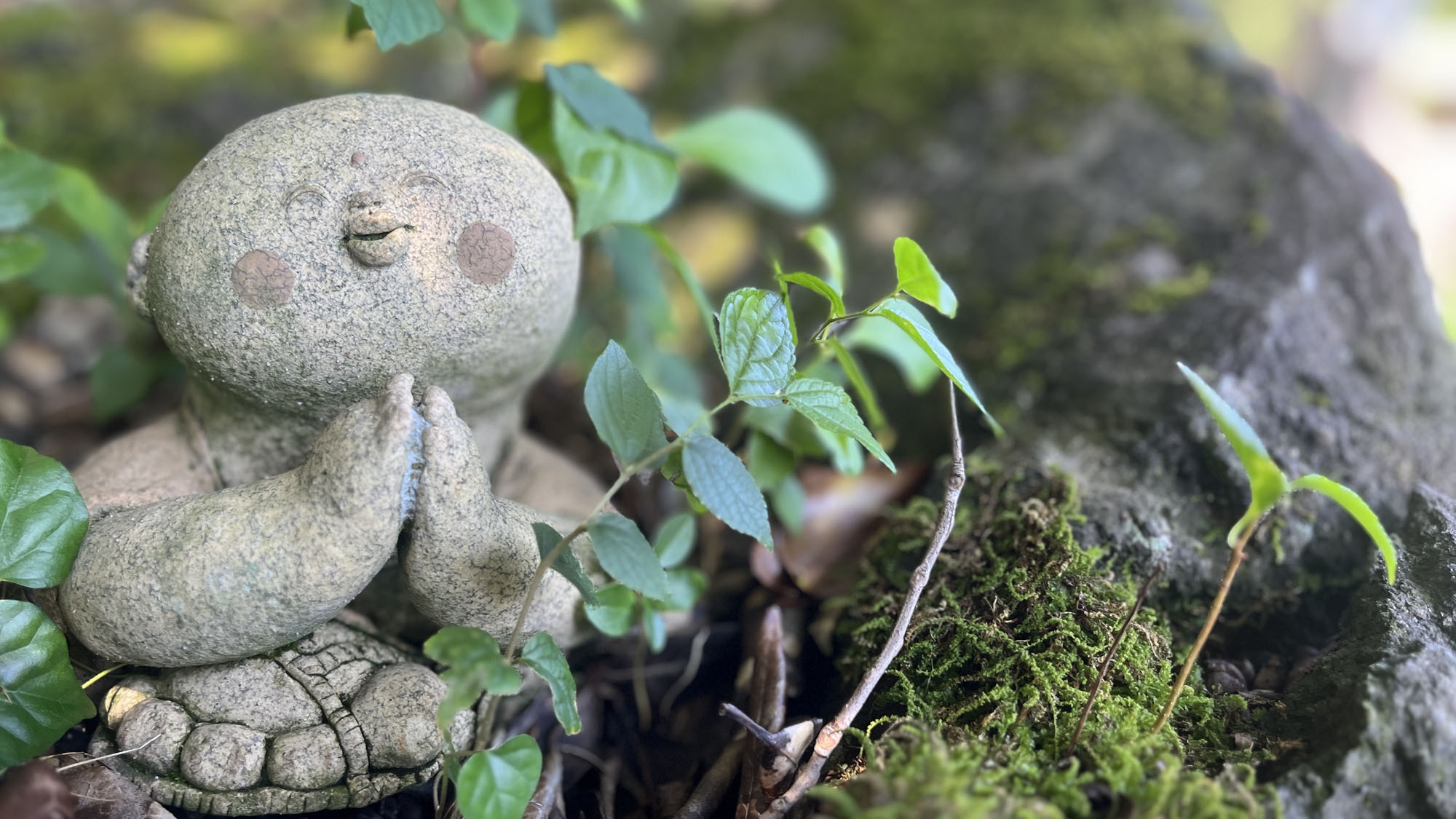 【ファミリー大歓迎】自炊可能なキッチン付き♪周りを気にせず自由に広々使える貸別荘★小学生まで無料★