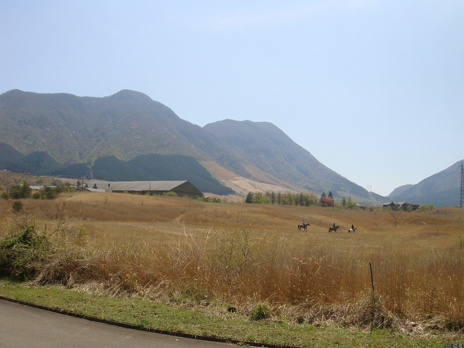 Mountain view and horse