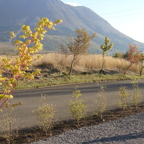 Mountain view and road