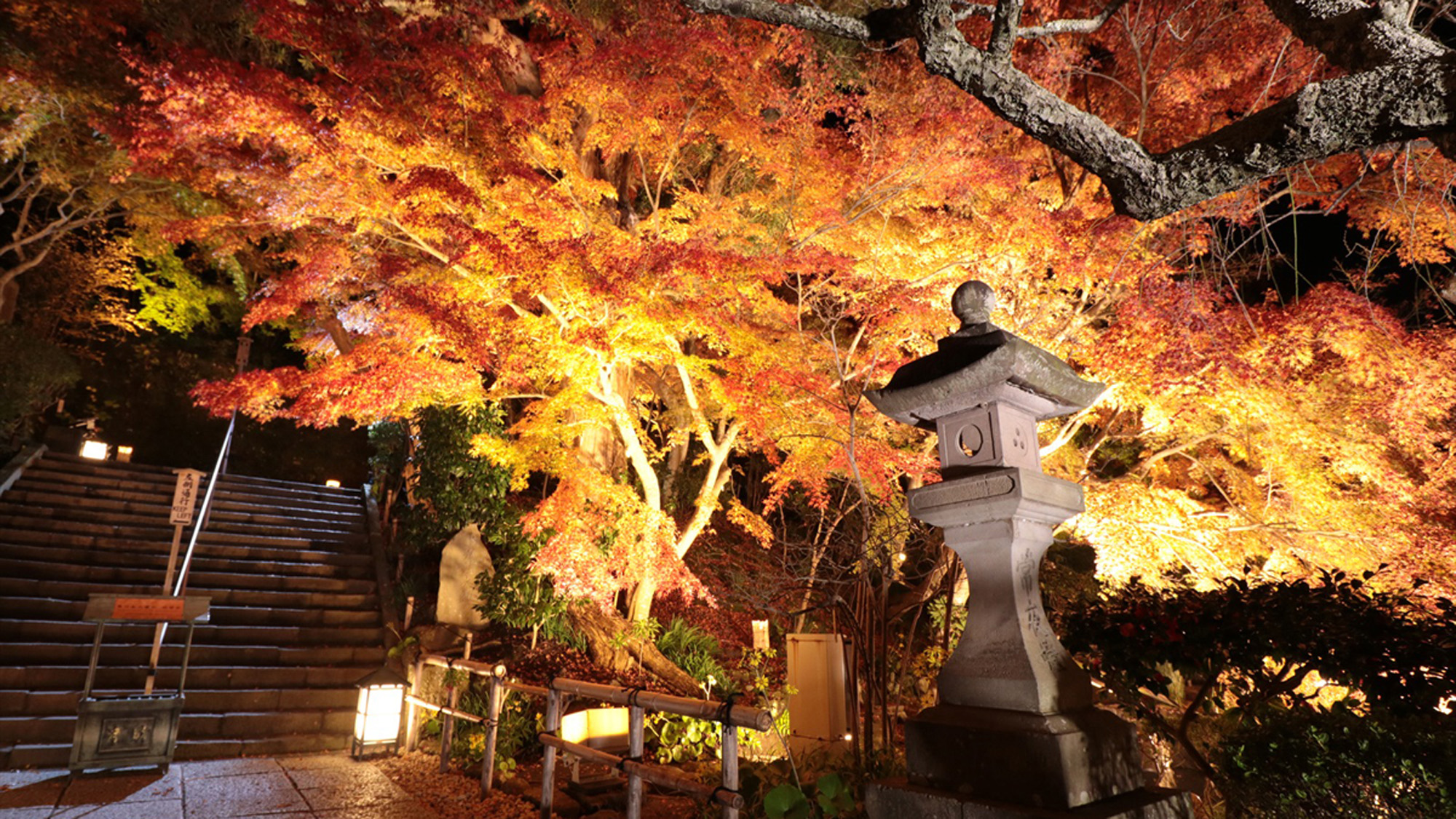 *【長谷寺】秋／紅葉の風景（車で2分・徒歩10分）※写真提供：長谷寺