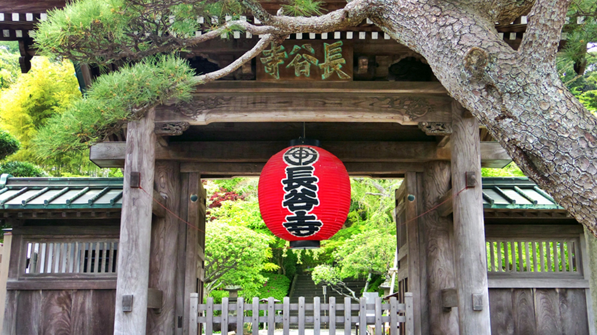 *【長谷寺】赤い提灯のある山門（車で2分・徒歩10分）