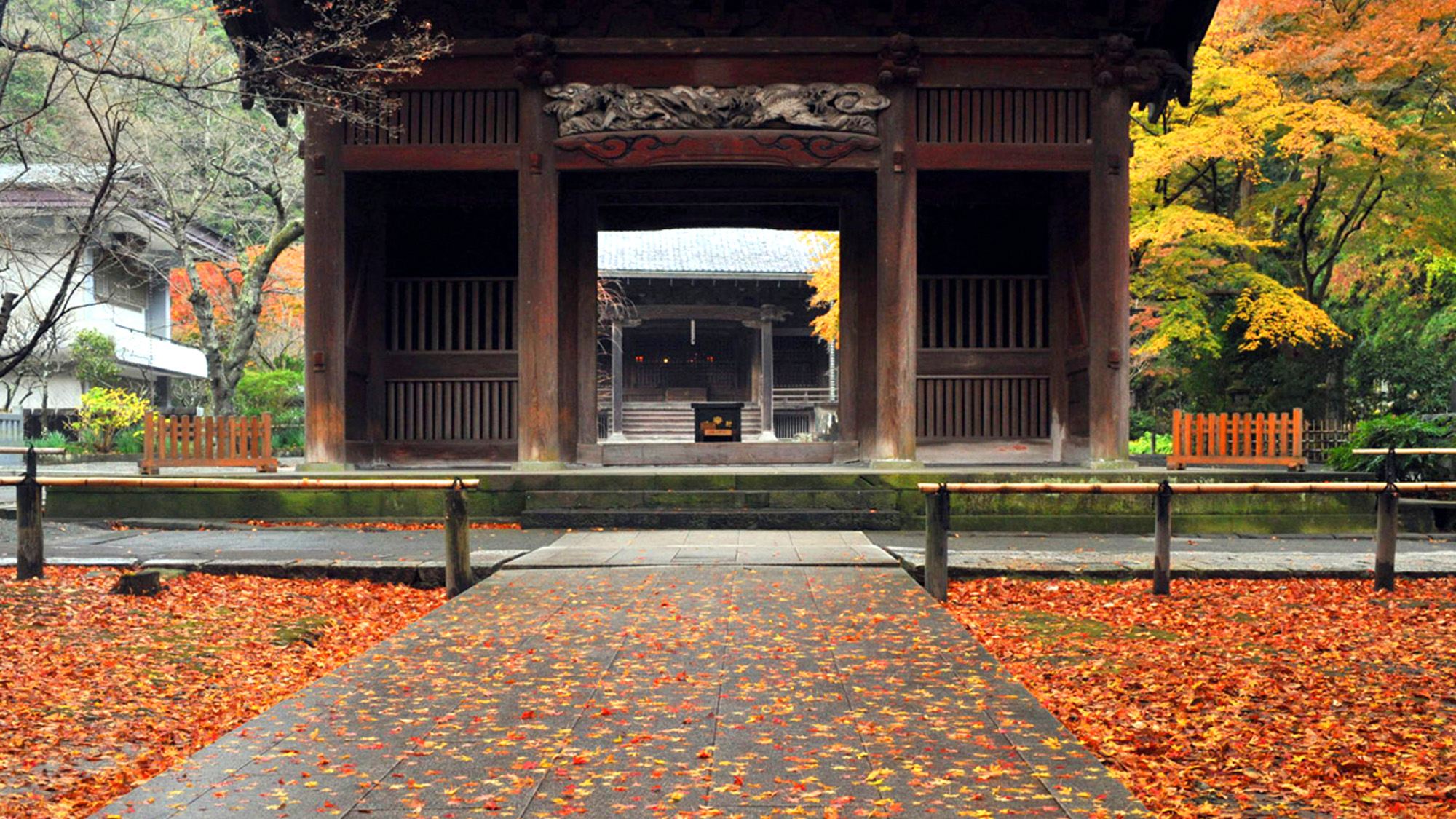 *【妙本寺】秋／紅葉の山門（車で10分・徒歩40分）※写真提供：鎌倉市観光協会