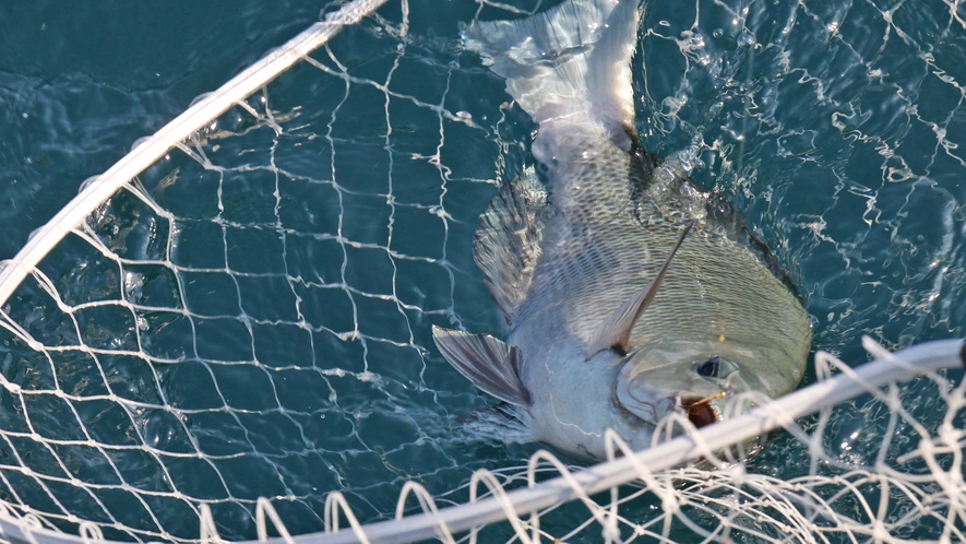 対馬の釣りの事は何でも相談してください！