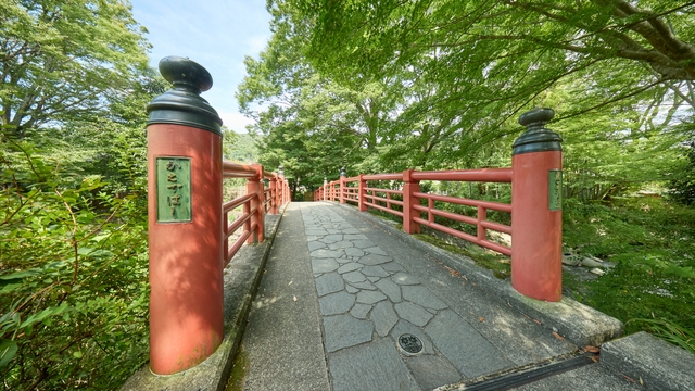 《1泊朝食》約30種類の和洋中バイキング！気軽に修善寺温泉を楽しむ☆彡伊豆観光満喫！