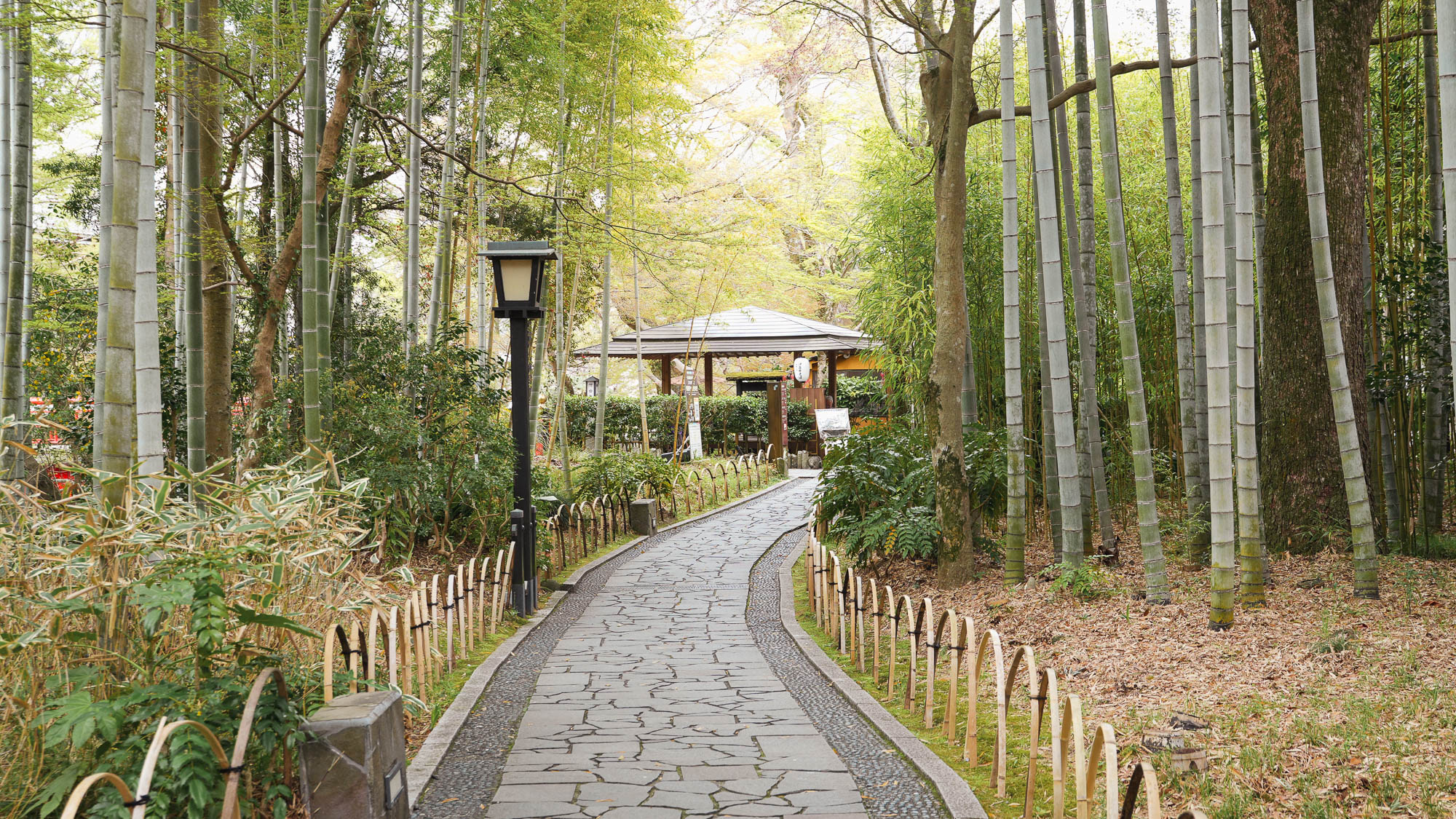 【周辺観光】竹林の小径