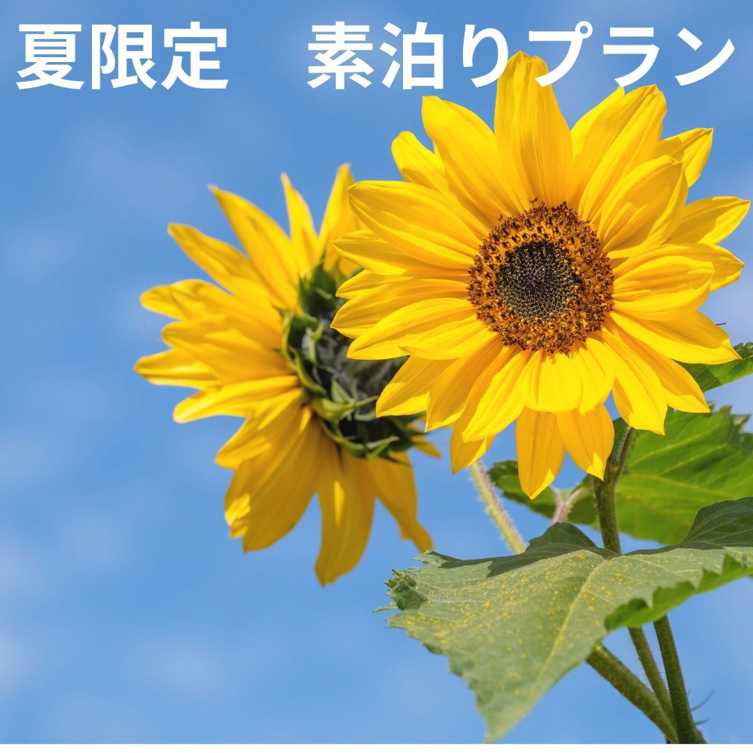 【夏限定】素泊まりプラン
