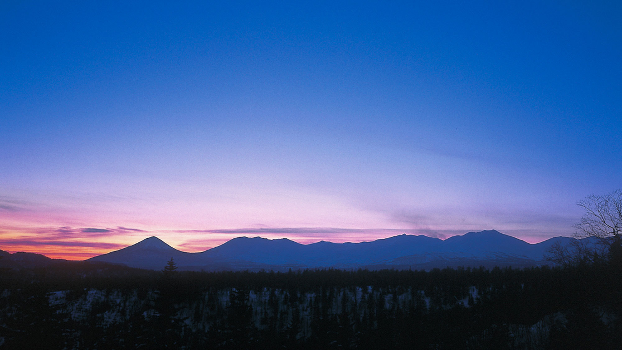 【素泊まりプラン】リーズナブルに大自然＆温泉・サウナを楽しみたい方に！アクティビティの拠点にも◎